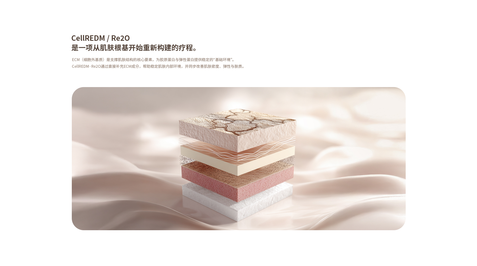 [셀르디엠/리투오는 피부의 기반부터 다시 설계하는 시술입니다.] ECM(세포외기질)은 피부의 구조를 지지하는 핵심 요소로, 콜라겐·엘라스틴이 자리잡을 수 있는 ‘기반’ 역할을 합니다.
        셀르디엠·리투오는 이 ECM 성분을 직접 보충하여 피부 내부 환경을 안정화시키고 밀도·탄력·결을 동시에 개선하는 방향으로 작용합니다.
